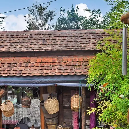 Lovely In With Kitchen